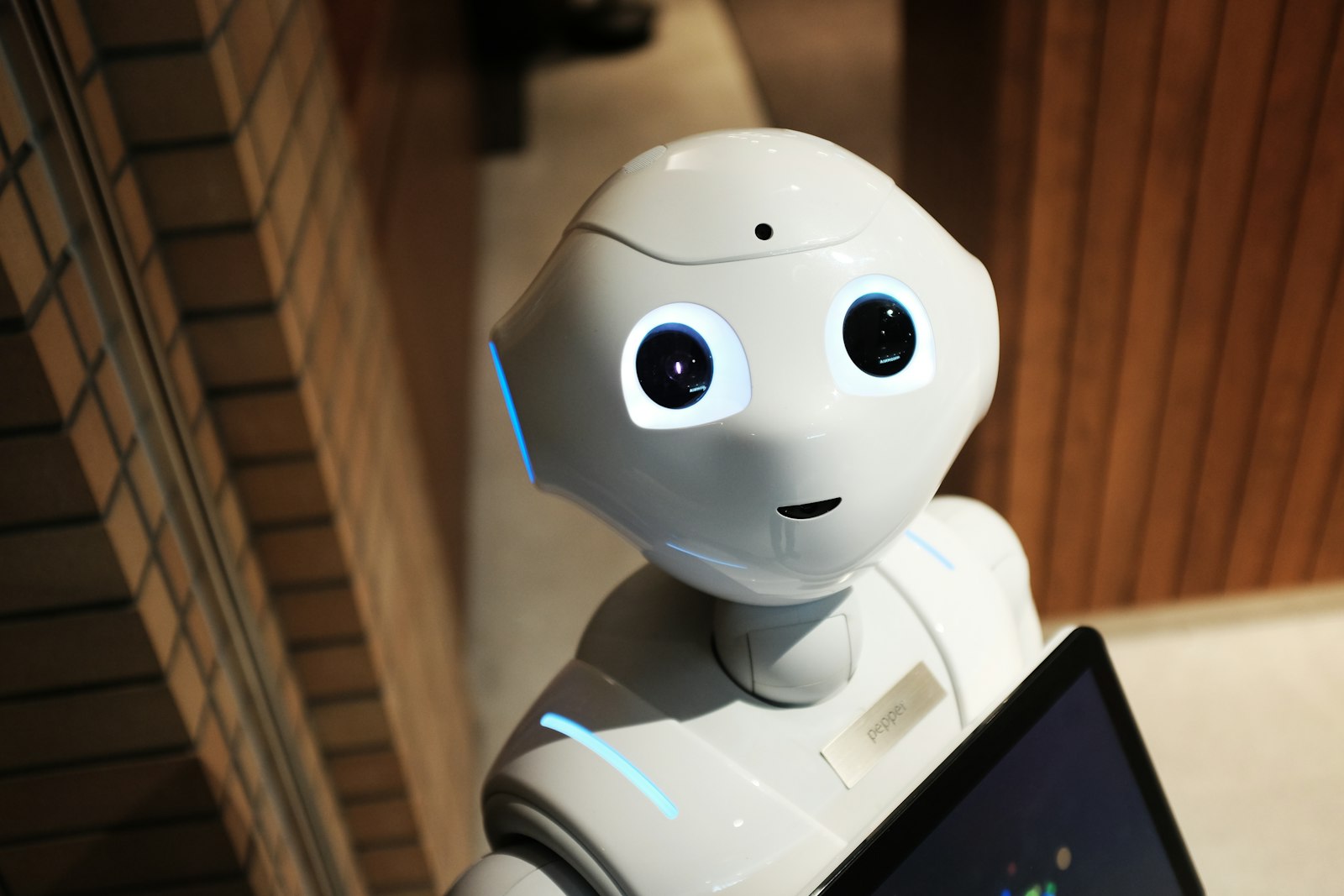 인공지능(AI)전문가 1급